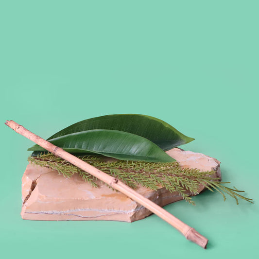 Tranquillo | Manifest Tranquility | Rainforest