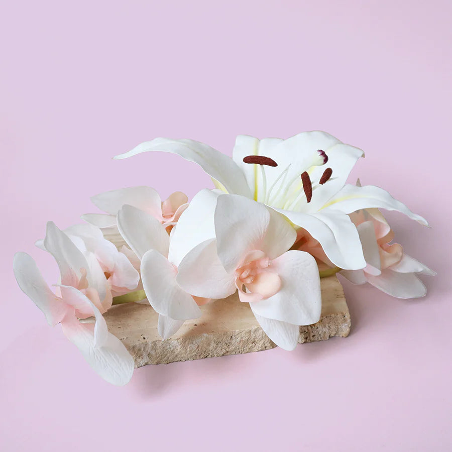Chiarezza | Manifest Clarity | Blonde Woods + Cashmere